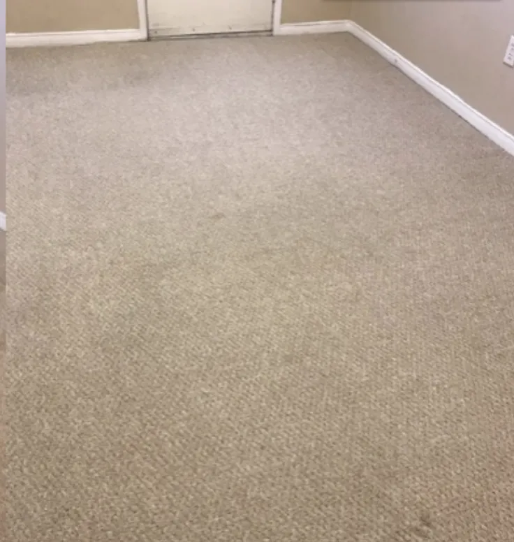 Carpet Cleaning Services After